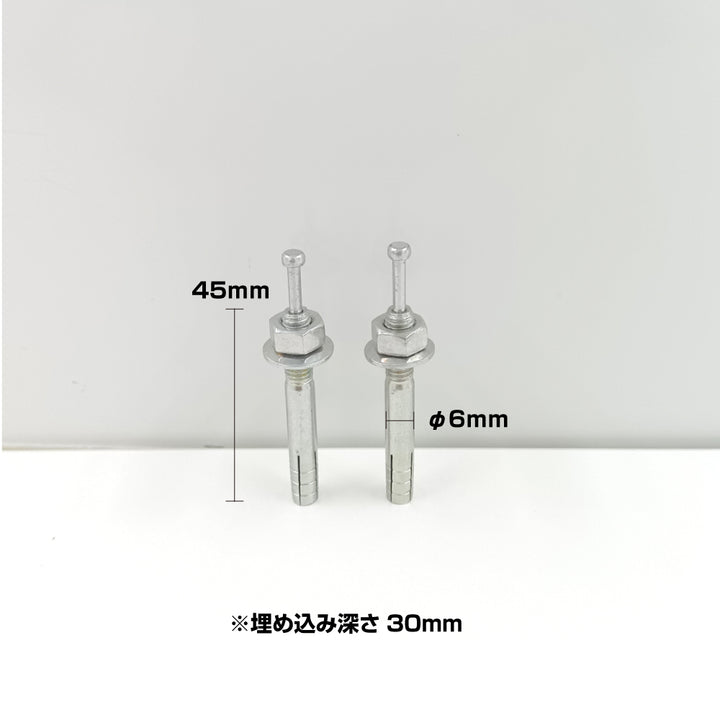 ネコポス配送＞アンカーボルト 2本入り ホームストッパー用 6φ × 全長